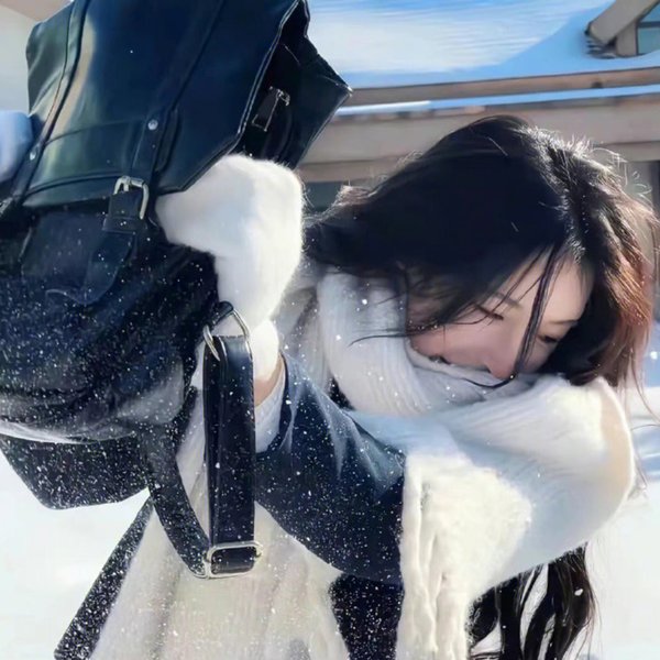 玫瑰人生国语